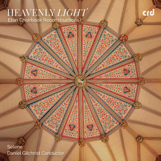 国产成人黄网在线
